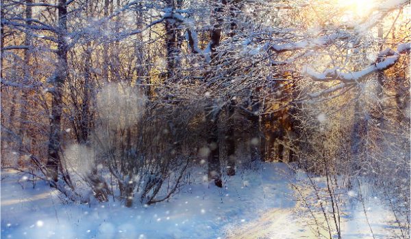 The Season’s Best Gifts for Adventurers!