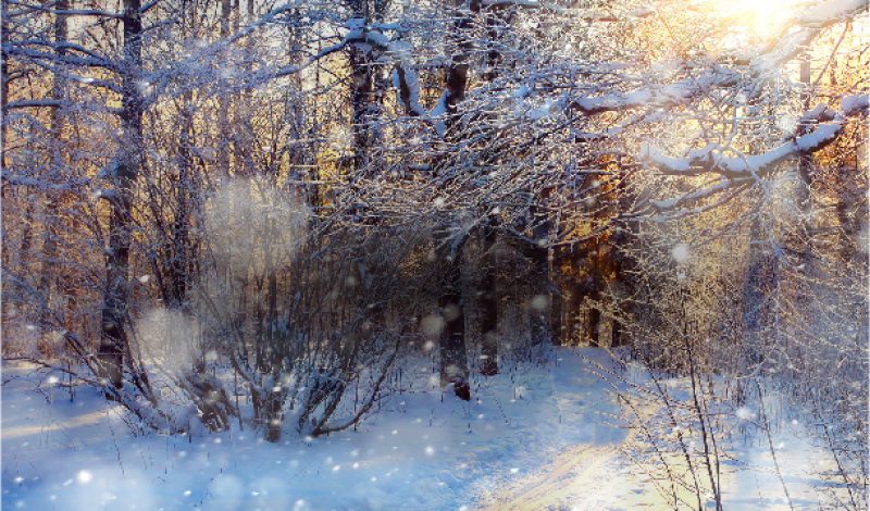 The Season’s Best Gifts for Adventurers!