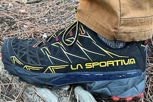 The Best Hiking Shoes