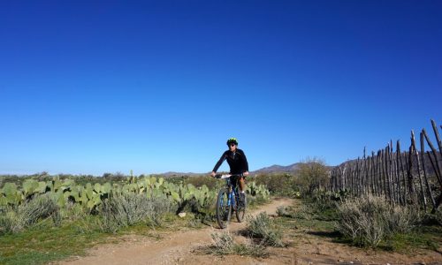 Race Report – The 24 Hours in the Old Pueblo 2020