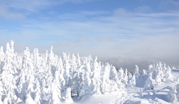 The Latest Ice Climbing Gear Gets Put to the Test