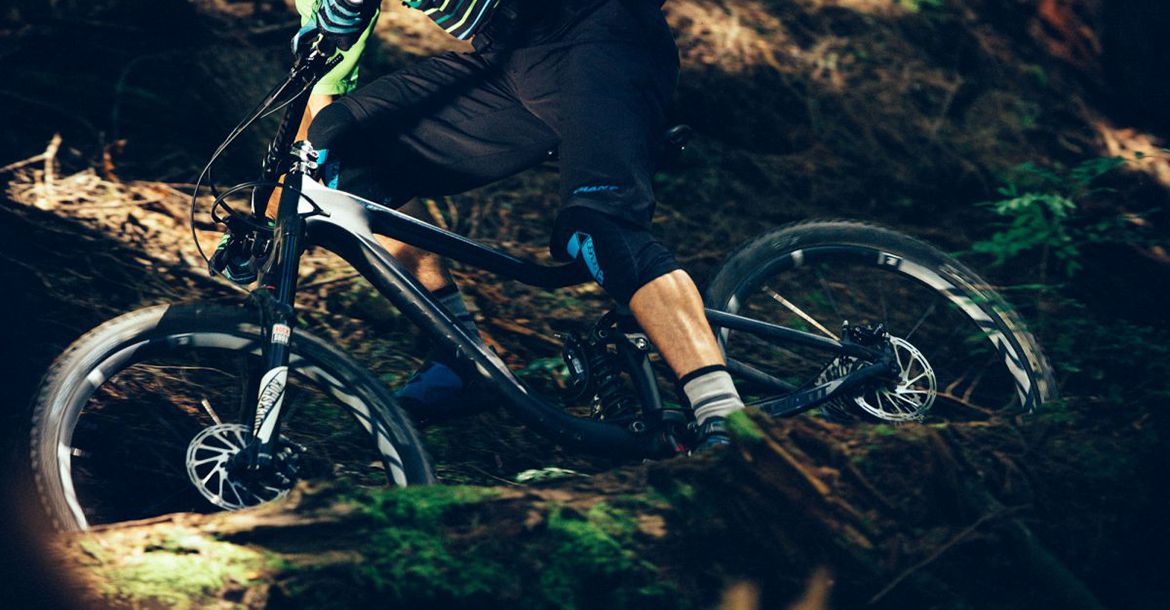 Giant Reign Advanced in action