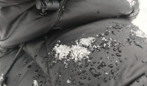 Women’s Winter Jackets You Should Jump On Quickly