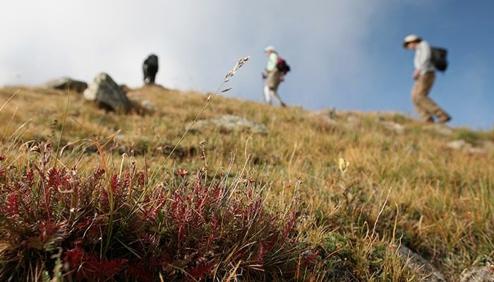 hike_backpackingboots