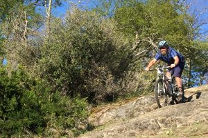 The Best Mountain Bikes