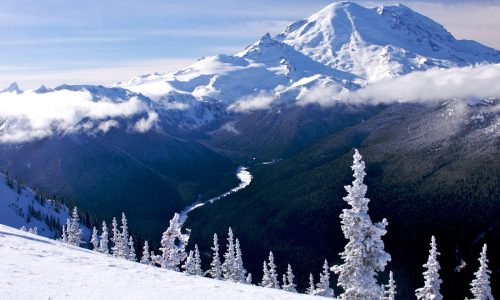 Last minute ideas for great holiday gifts