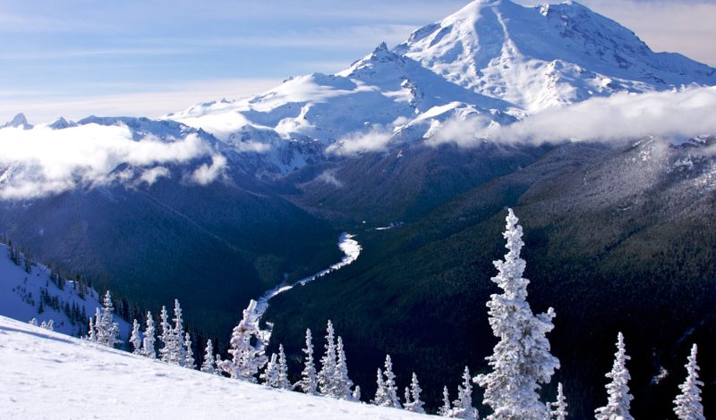 Last minute ideas for great holiday gifts