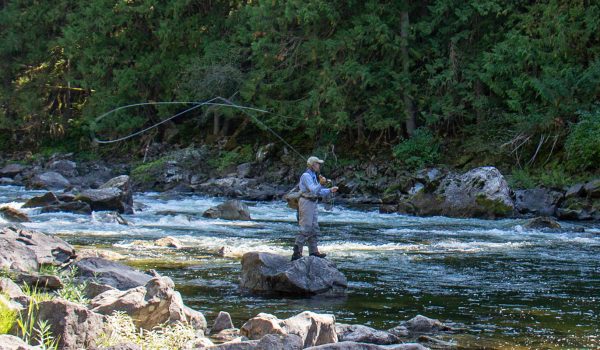 Orvis puts pro gear on everyday anglers