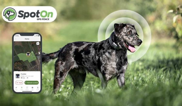 Portable Invisible Fence Perfect for Traveling Dog Adventurers