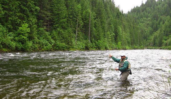 Staying up-right while wading
